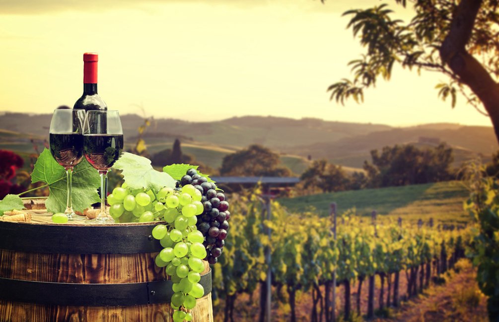 新西蘭葡萄酒介紹 新世界產(chǎn)酒國的紅酒之光